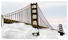 DNSEMP-C-124-WT Crossing Over (Bridge) White